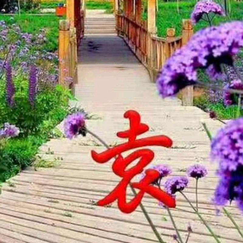 yuanxia