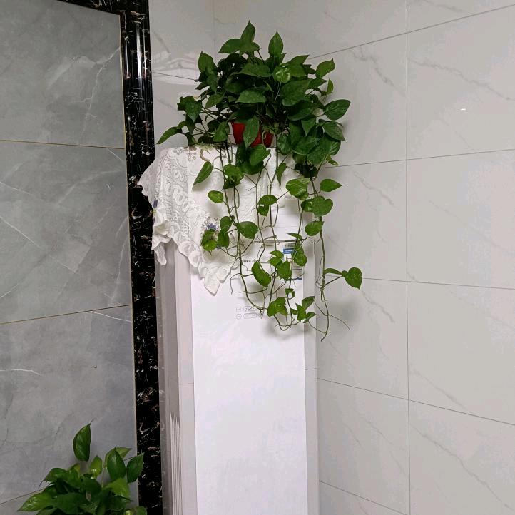 我想你
