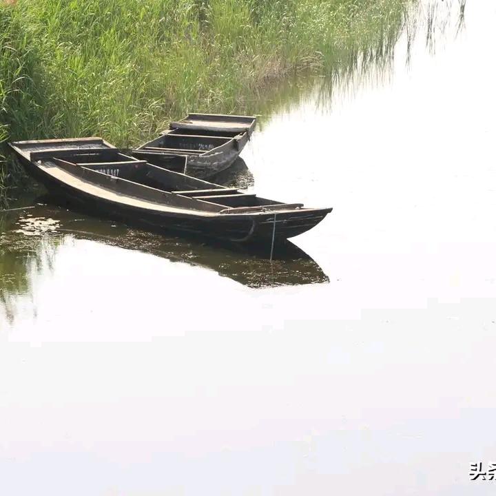 用户，百善孝为先