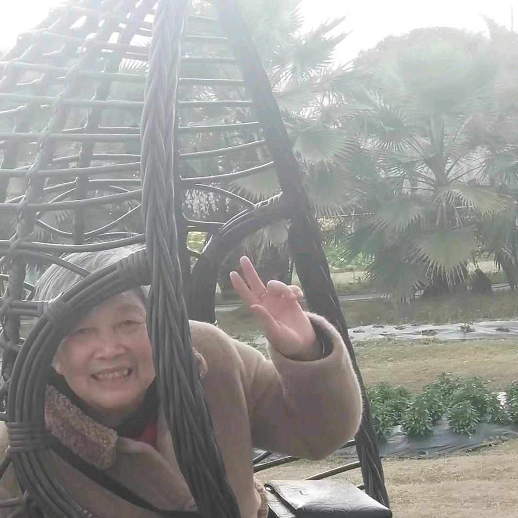 凤