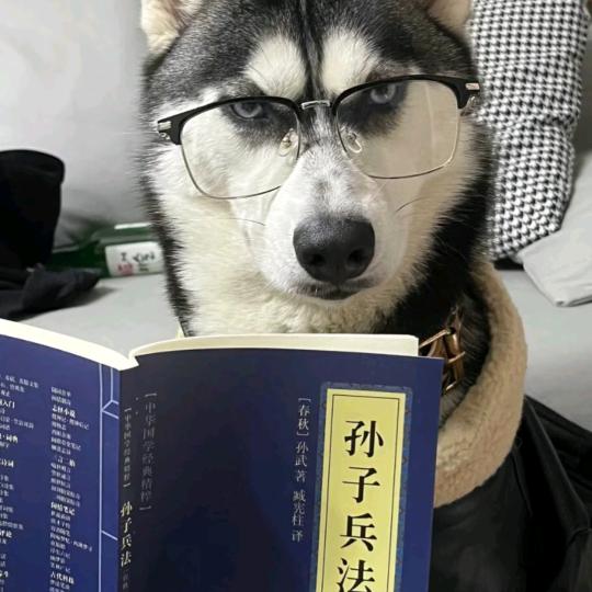 布夏宇