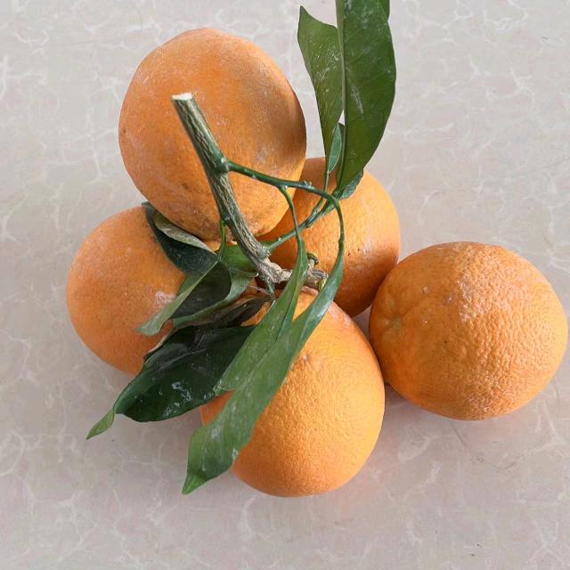 阖家幸福