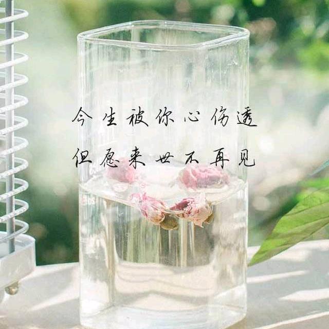 ༺།༼࿄࿆刚刚好࿅࿆༽།༻