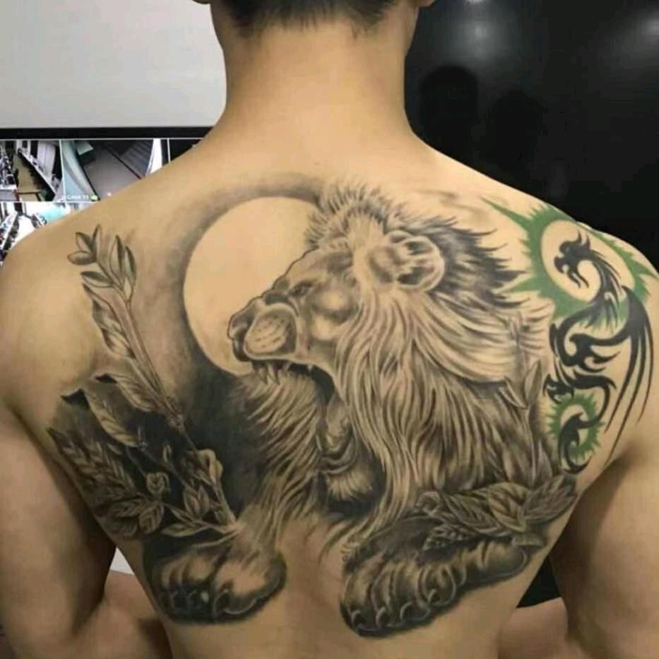昨夜长风