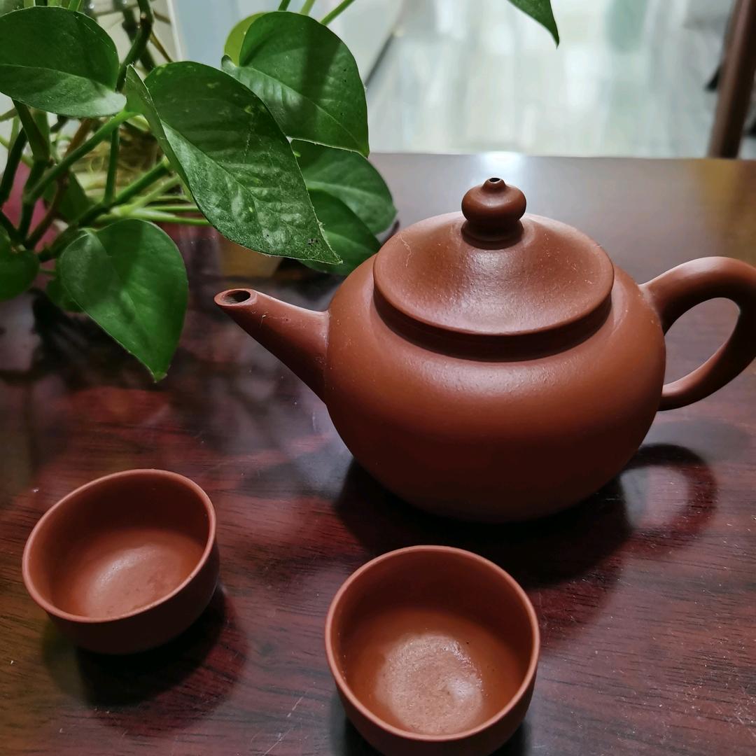 云盘山茶庄