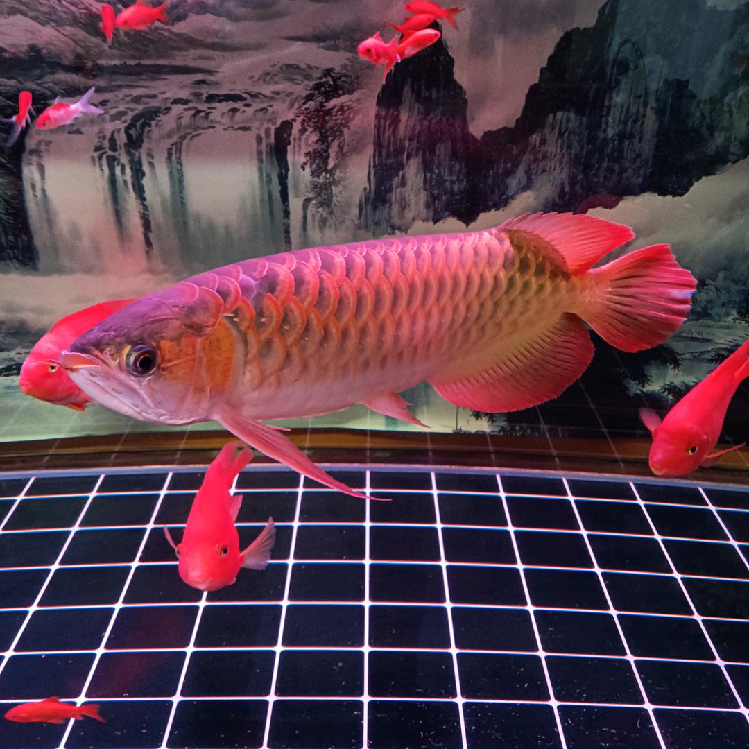G 先生