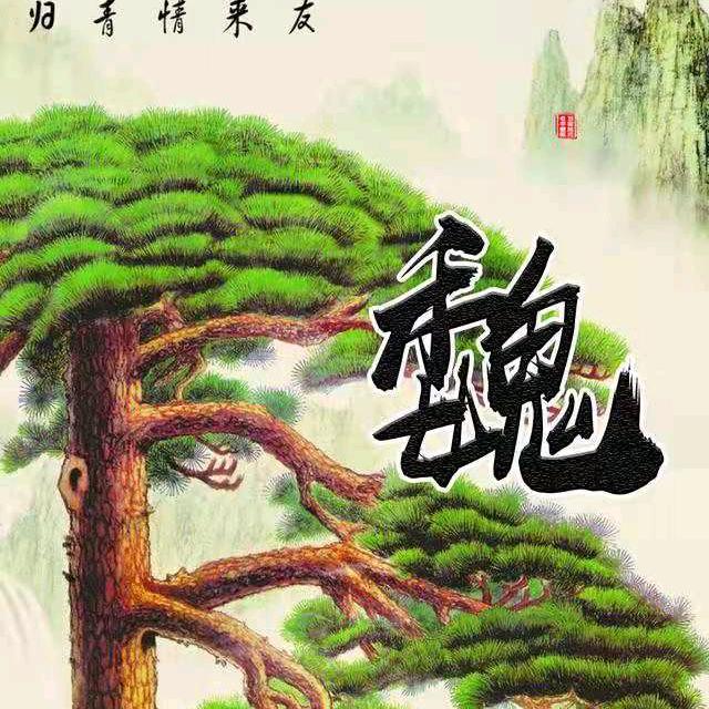 永不回头