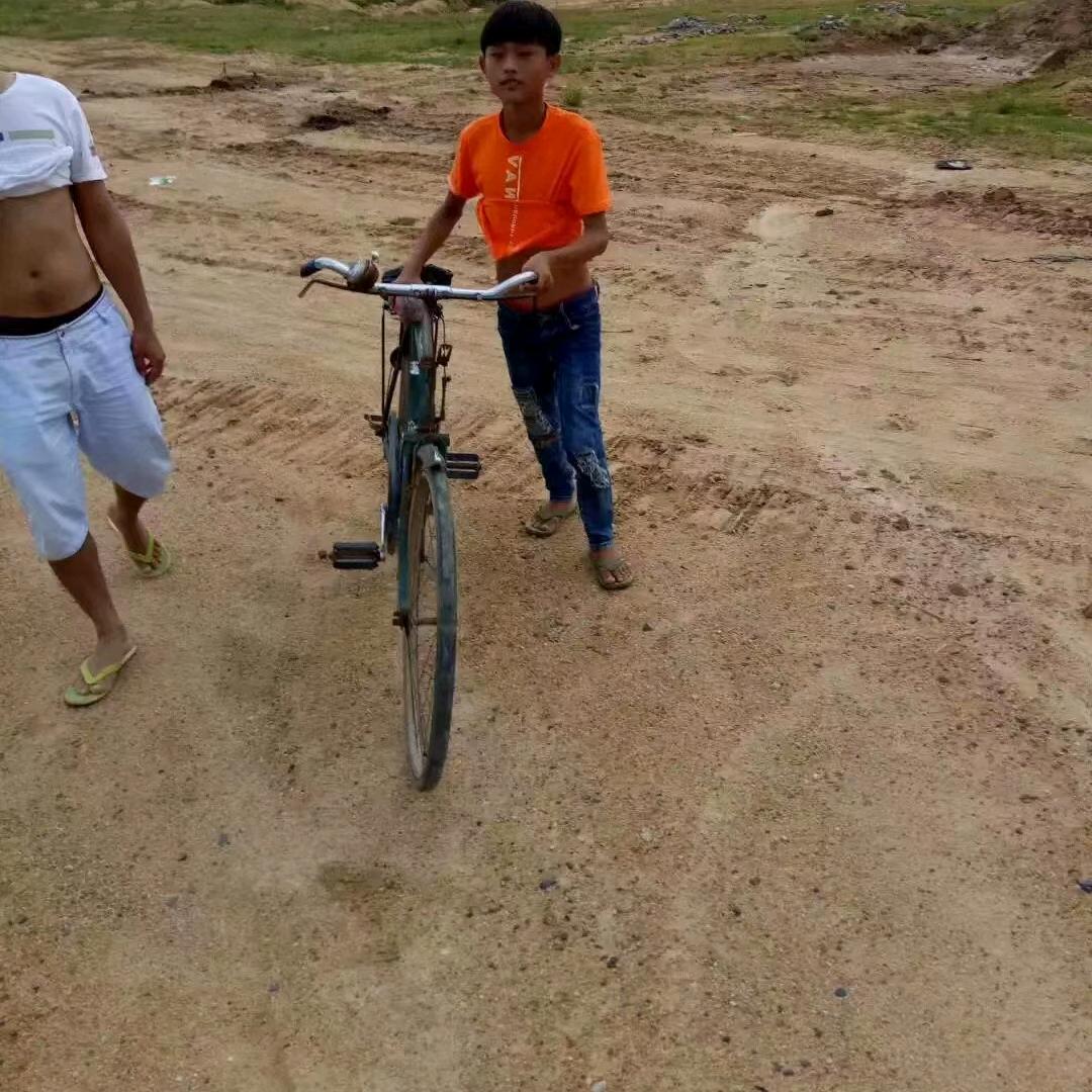 小李子