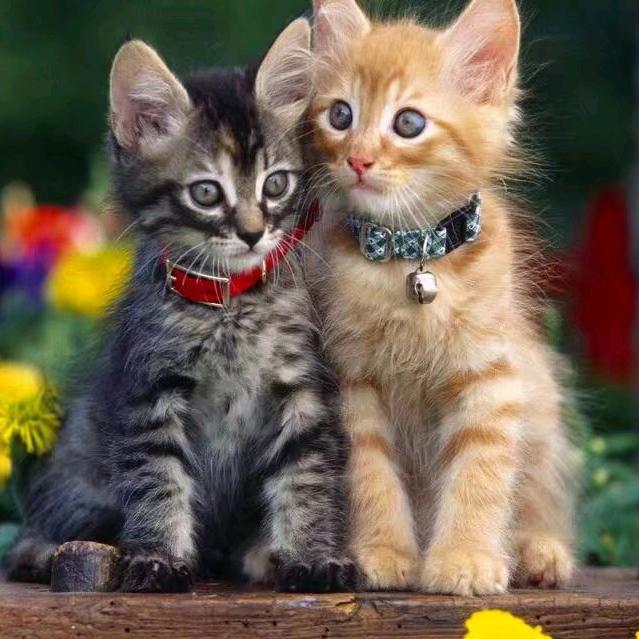 郑远元～朝阳路店～店长