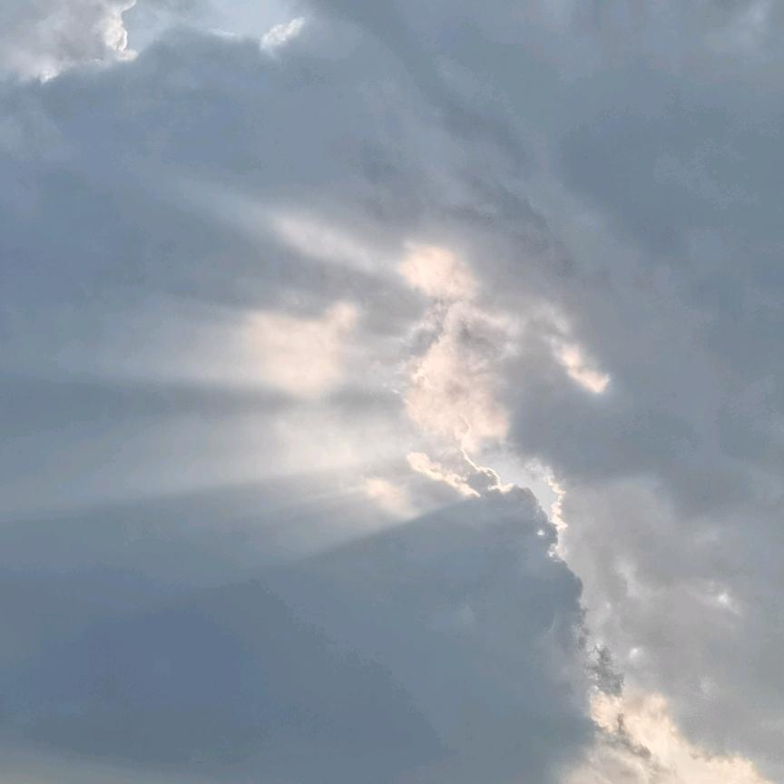 我是大海，我来了