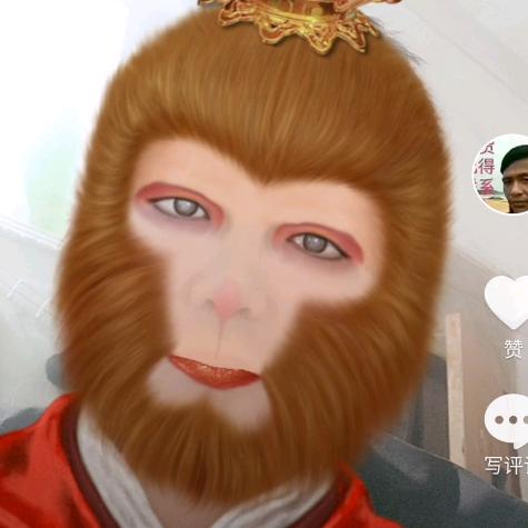 小钢炮！！😄