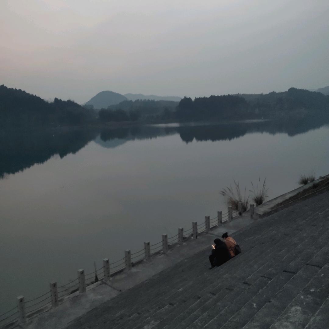龙哥
