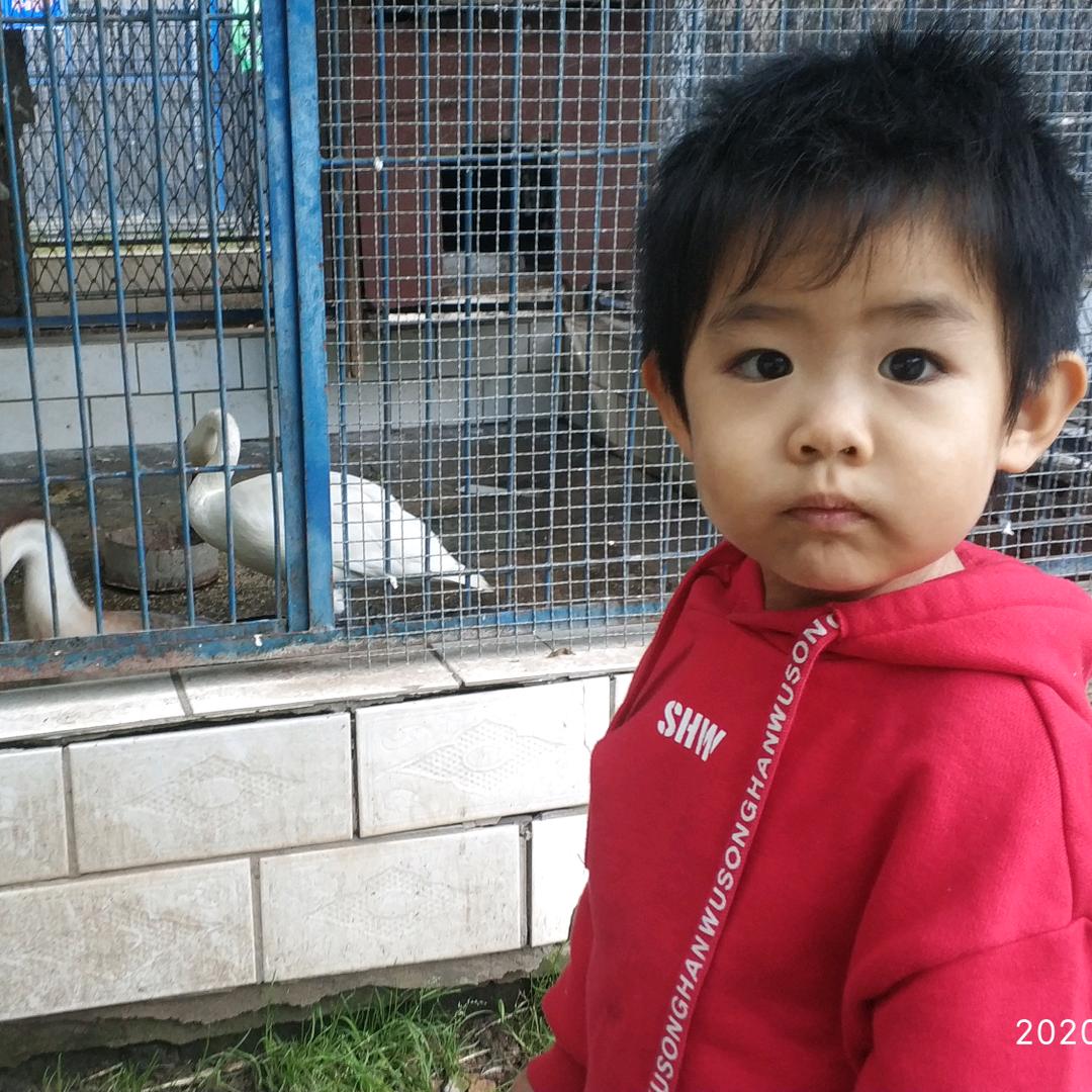 谛听
