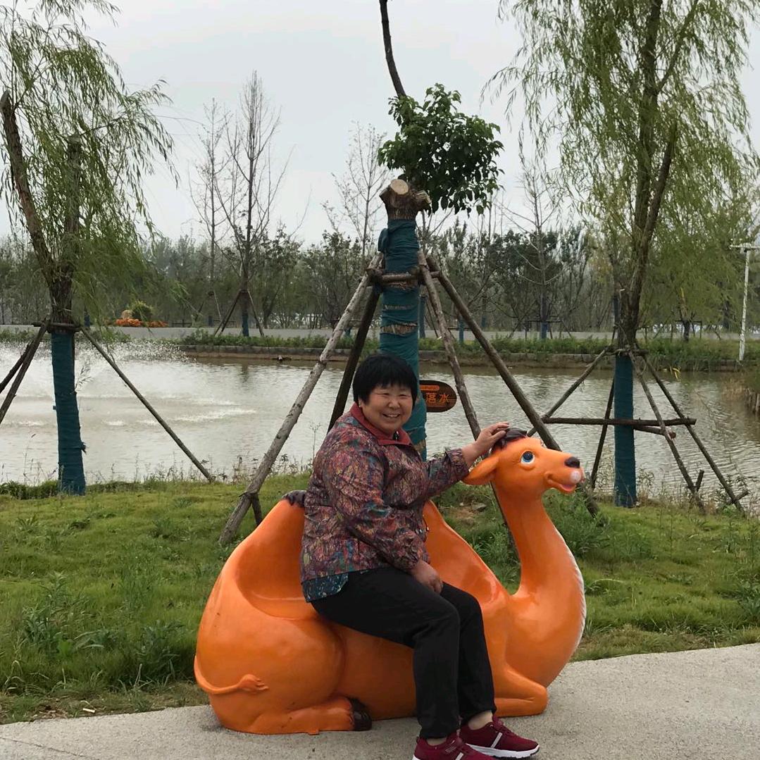 杨金梅