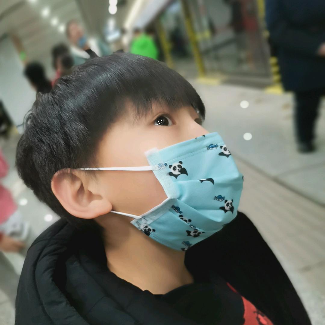 蓝色沙丁鱼