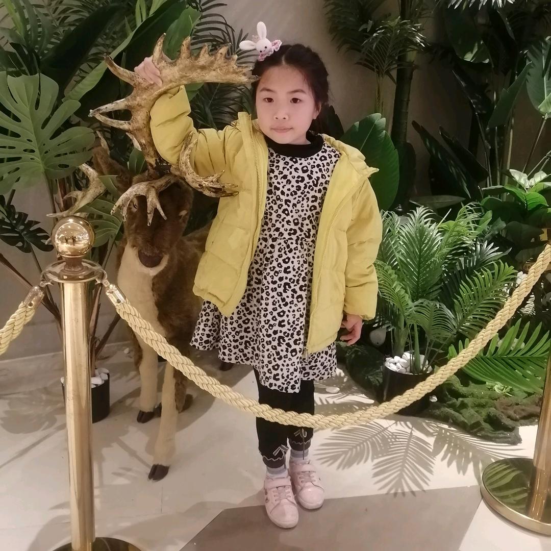 阿佳-加工电脑绣花