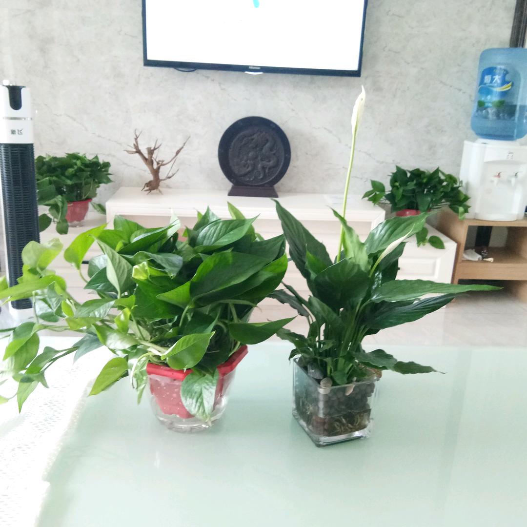 看山玩水