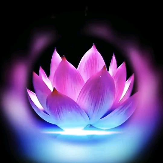 迎春纳福🍎八方来财🌾🌾🌾