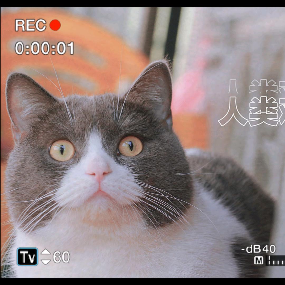 小花（已婚有娃）