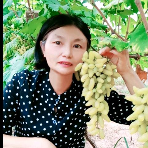 开州区竹溪镇大湾村沪渝葡萄