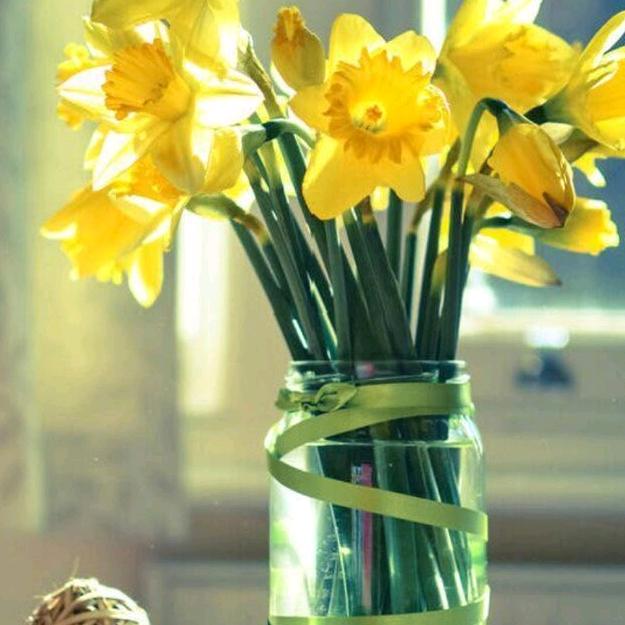 🍎浩瀚YUYING🌹