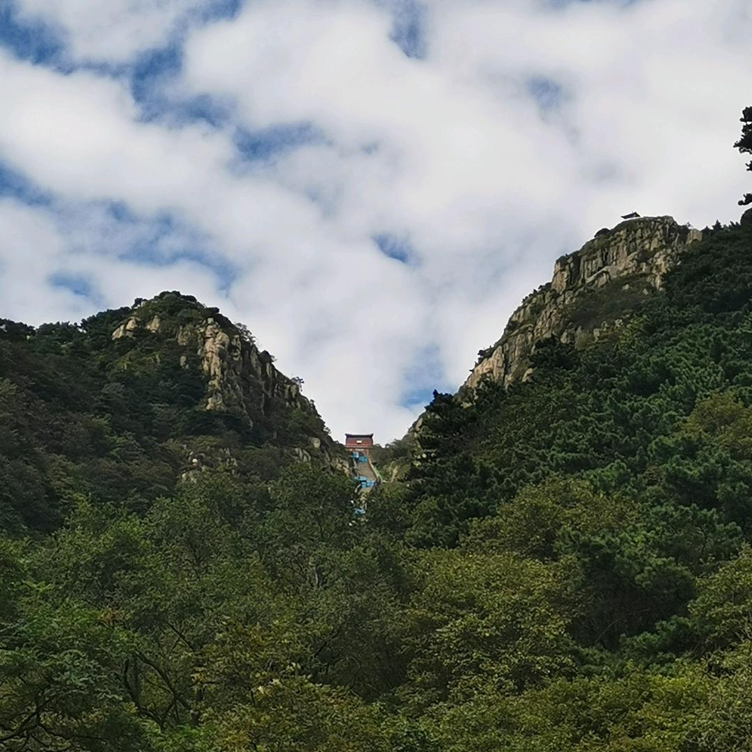 孤山魅影头像