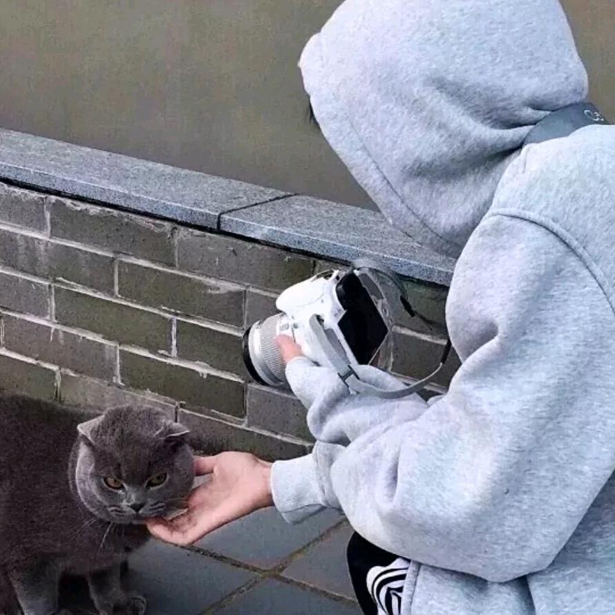 一只完美的羊