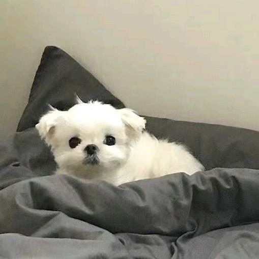 開心.