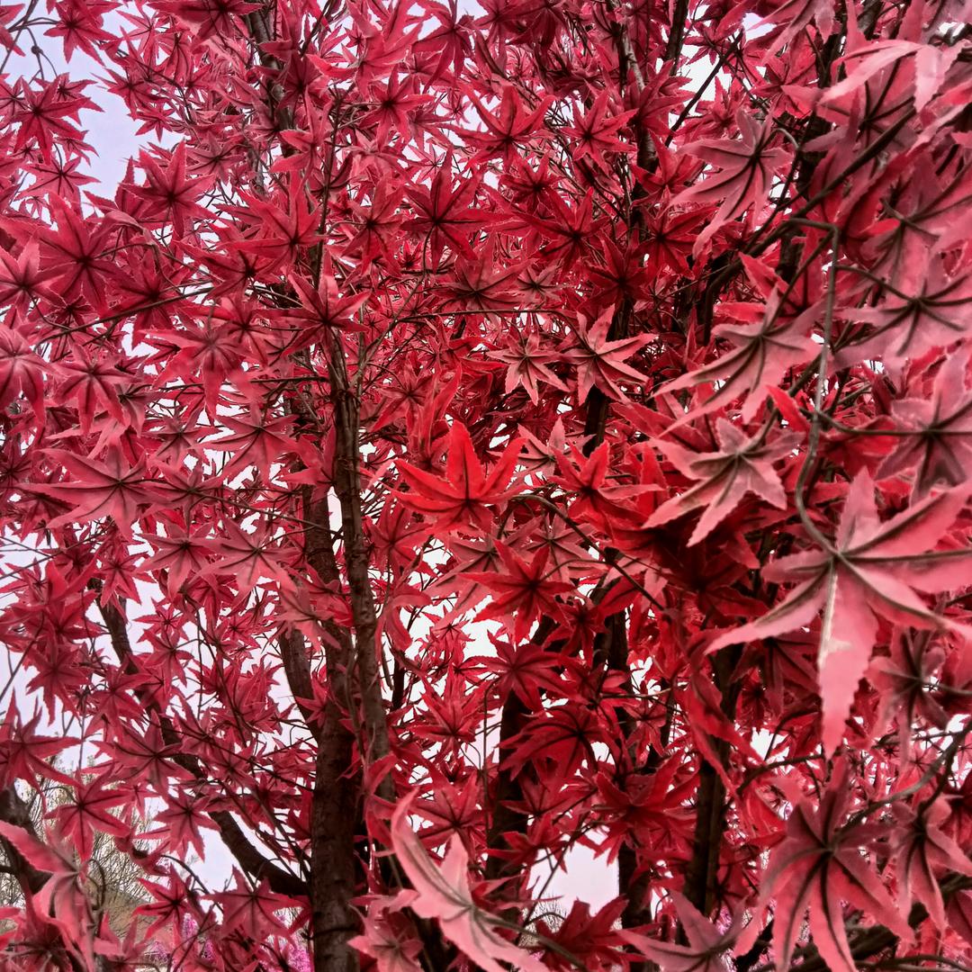 终于你