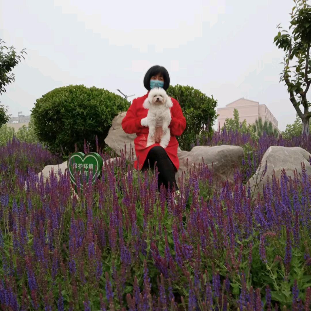 荣荣今天很开心