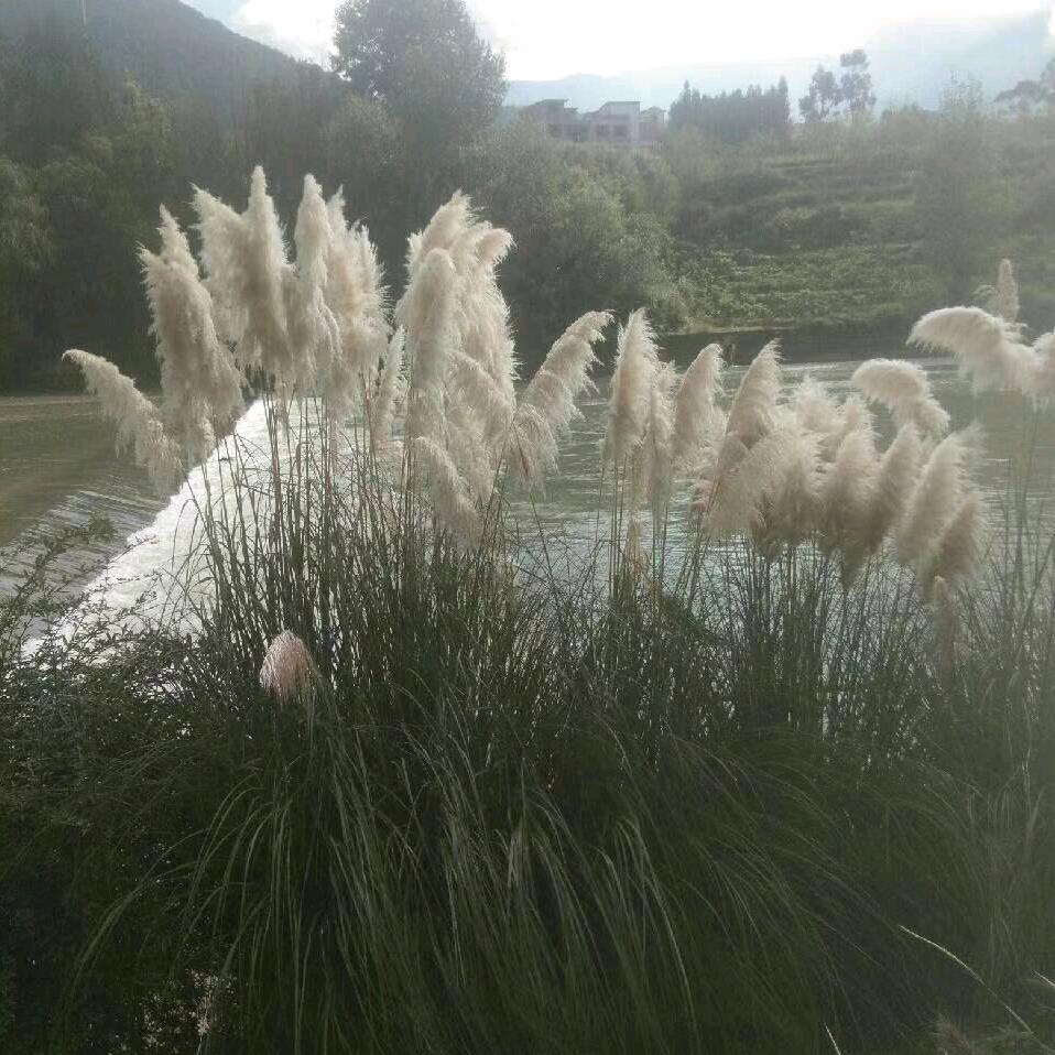 照亮我心