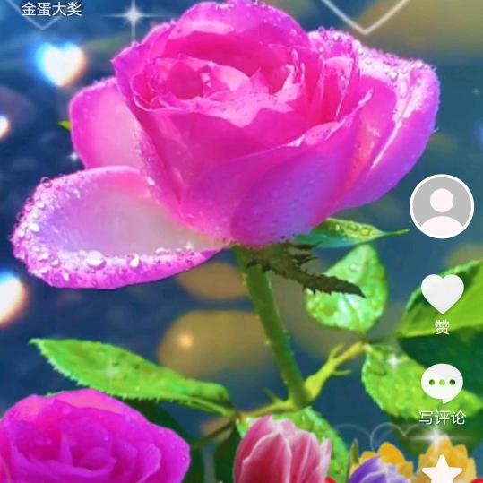 啦啦啦哈哈哈哈