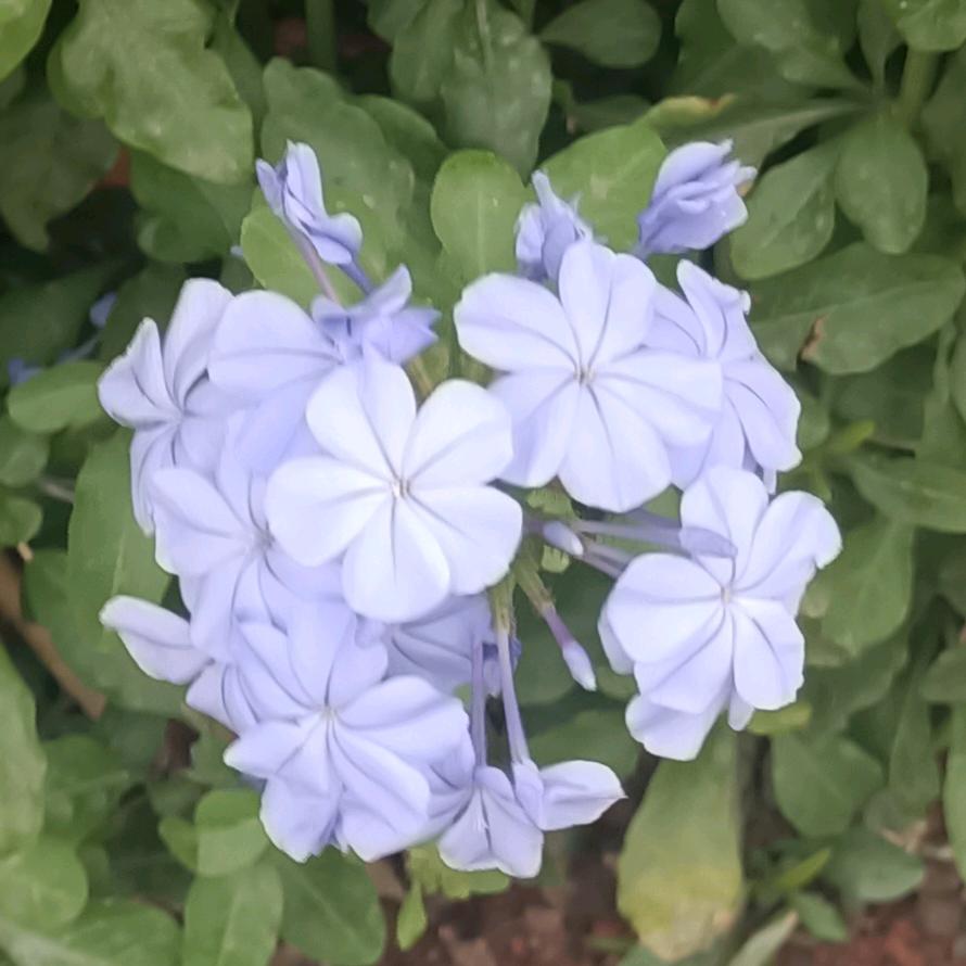 💞小圆点ꦿᮨ້໌࿐