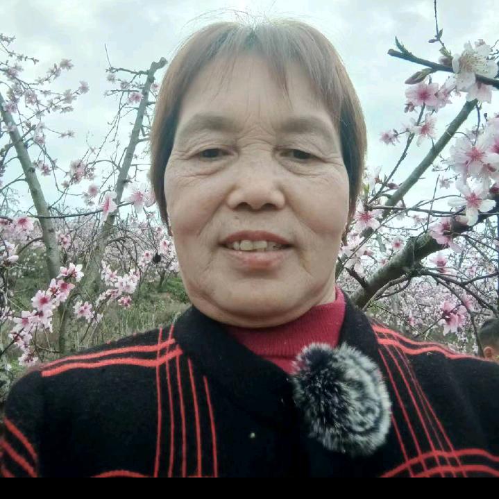 一生平刘孝桂安，