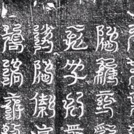 時涂头像