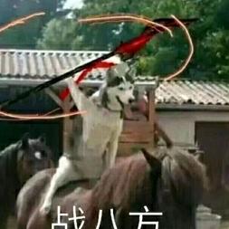 岁月如歌-