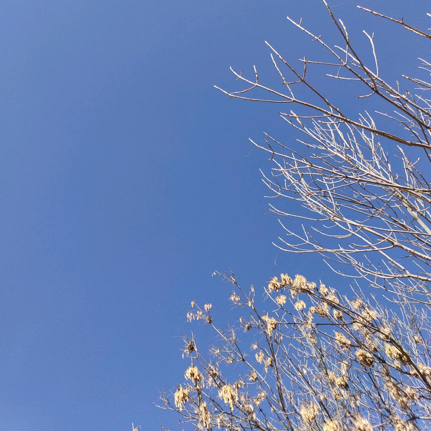 该吃吃，该喝喝