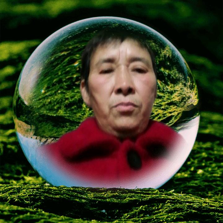 杨四