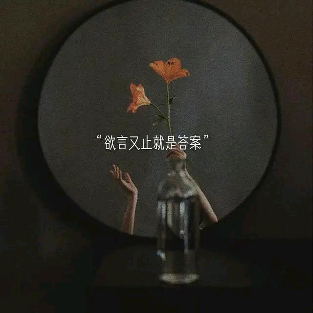 董事不懂事