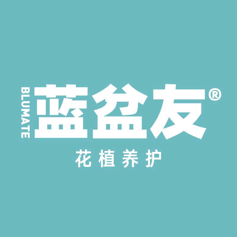 蓝盆友花植养护