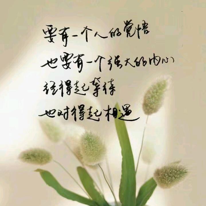 随遇而安