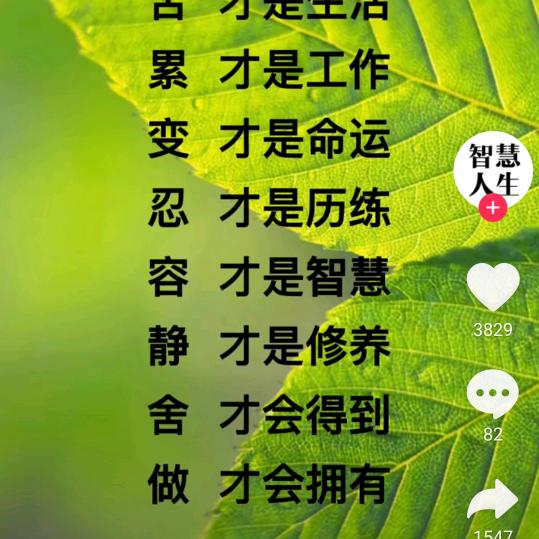 选择大于努力