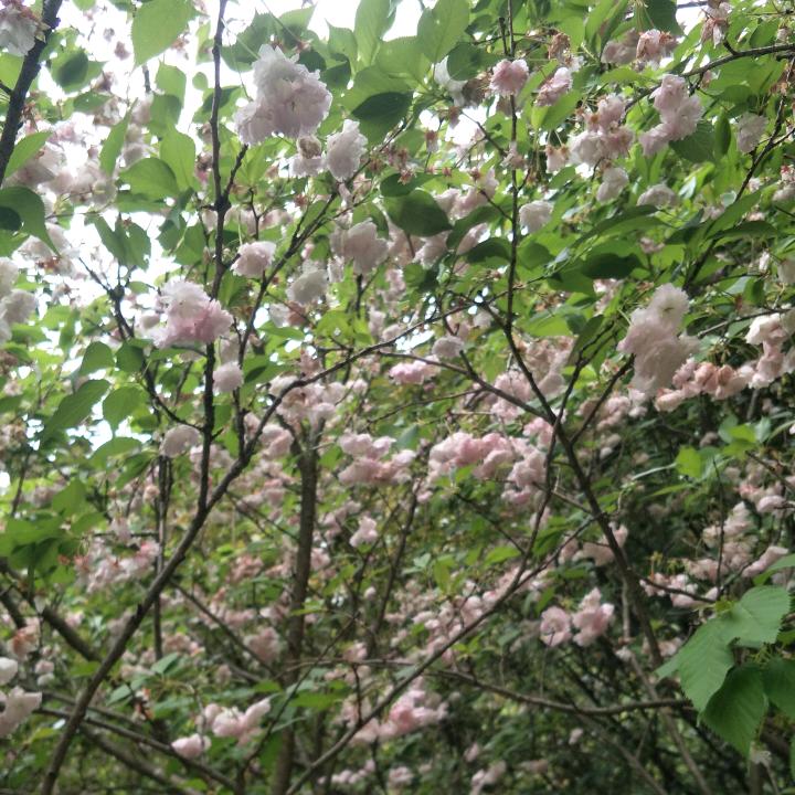 指间的沙淹没年华