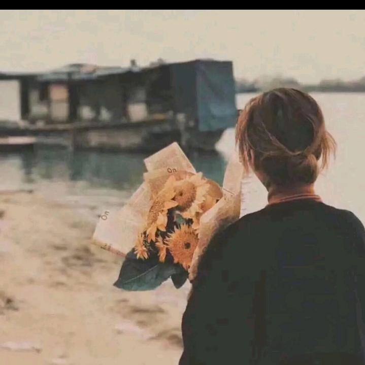 迟遇🌻
