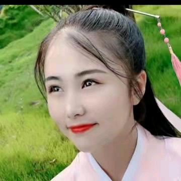 美丽玫瑰