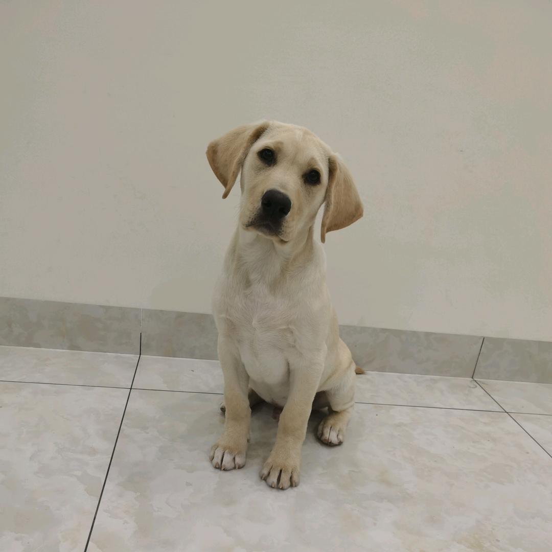 放弃过去重新开始