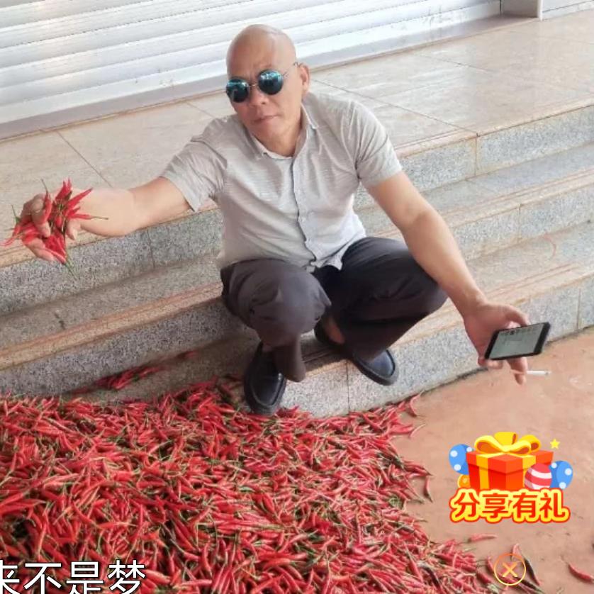 有草坪出售1315899887