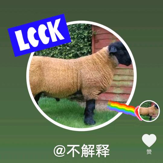 不解释头像
