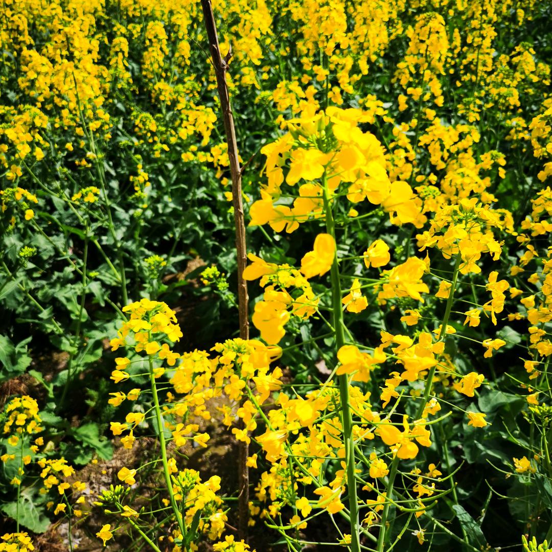 铜山区佳艺锦盛百货店的小店