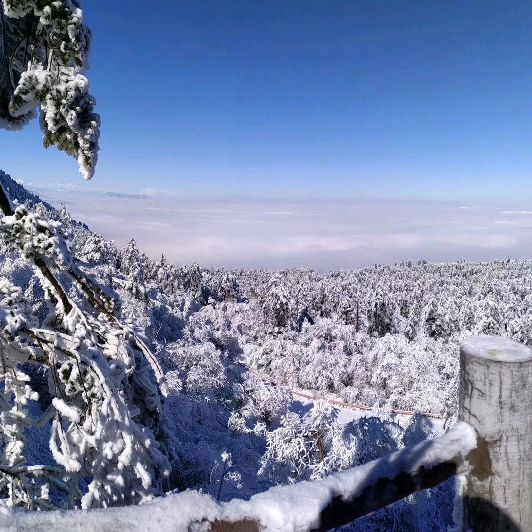 .꧁暗夜小飞侠꧂.